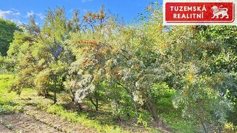 Brno  Líšeň, Zahrada dnes, stavební parcela zítra - 18