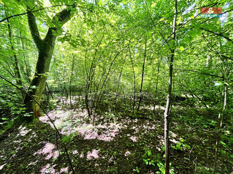 Prodej vodní plochy, 3255 m², Skalice u České Lípy - 18