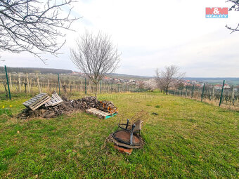 Prodej ovocného sadu, 4096 m², Starý Poddvorov - 18