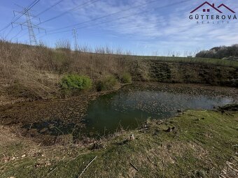 Prodej pozemků se dvěma rybníky, 15 233 m2 - Hradec u Stoda - 18