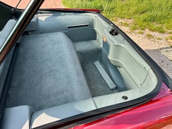 Pontiac Firebird 1991 5.0 V8 - 18