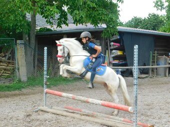 pony valach - 18