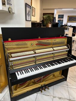 Petrof 118 L1 se zárukou 5 let, první servis PRODÁNO - 18