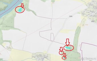 Prodej lesních pozemků v k.ú. Doubrava nad Vltavou - 18