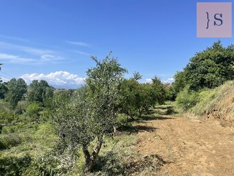 Prodej, dům, 5 000 m poz., , , Česko - 18