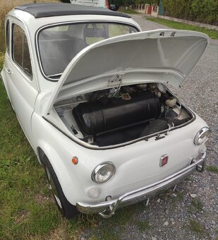 Fiat 500L - 18