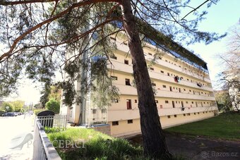 Pronájem bytu 2+kk se sklepem, 45m2, Dvorského, Brno - 18