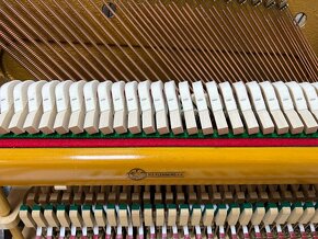 Německé pianino August Forster - Lobau po opravě, se zárukou - 18