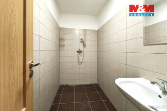 Pronájem obchod a služby, 160 m², Mladá Boleslav - 18