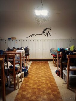 Ustájení koní - 18