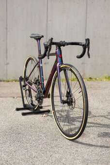 De Rosa Merak vel.46 | Campagnolo Super Record 12v | Fulcrum - 18