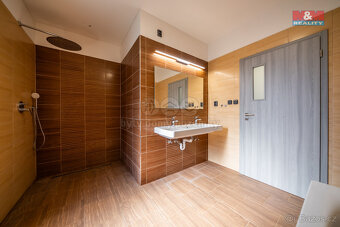 Prodej rodinného domu, 132 m², Železné - 18