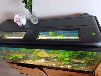 akvarium komplet - 18