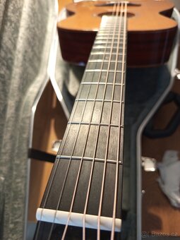 Furch Yellow plus om-cp - 18