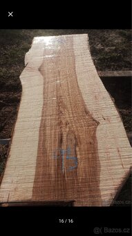 Fošny jasan,modřín ,XXL fošny - 18