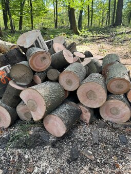 Prodej palivového dřeva - 18