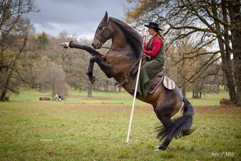 TOP klisnička PSL - 18