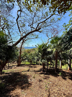 Atocha Lot 1&2 -First Bight, Roatan - 18