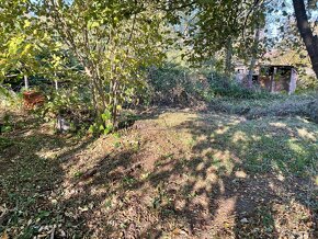 Prodám st. parcelu 2012 m2 ve Vydří u JH - 18