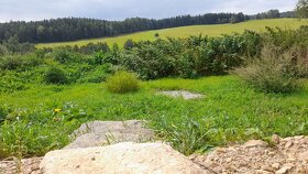 Dřevěná chata - 18