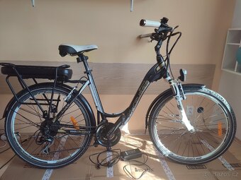 CRUSSIS e-City 5.9 - 19" - 18