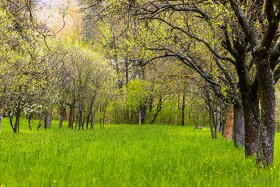 Prodej stavební parcely 2072 m2 Starý Hrozenkov - 18