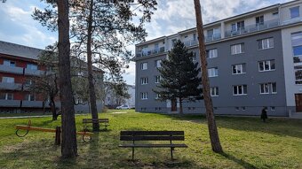 Pronájem: byt 2+1 s lodžií / Ivančice - 18