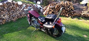 Suzuki VS 800 GL Intruder - 18