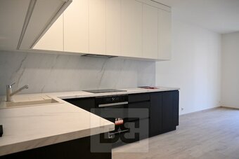 Nadstandardní byt 3+kk v novostavbě v blízkosti centra s gar - 18