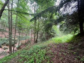 Prodej chalupy -  Podhora u Pěnčína - 18