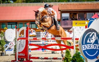 2976 Arn de Gothia-M - 18