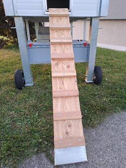 KURNÍK PRO SLEPICE - 18