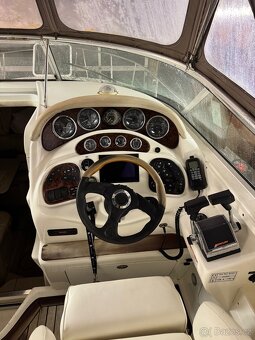 Sea Ray 280/315 - 18
