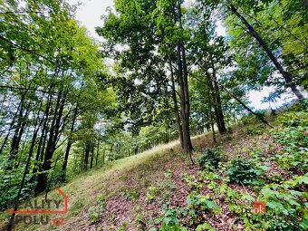Prodej, pozemky/bydlení, 1161 m2, Hraničná, 46811 Janov nad  - 18