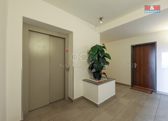 Pronájem bytu 2+kk, 53 m², Plzeň, ul. U Borských kasáren - 18