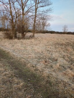 Pozemek u jezera Pístník, přes 1,8 ha, blízko dálnice D8... - 18
