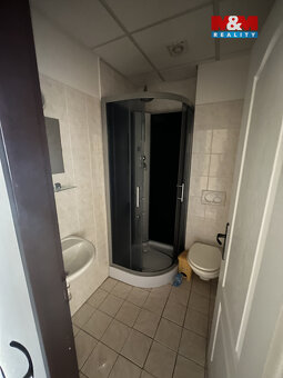 Prodej rodinného domu, 600 m², Zásada - 18