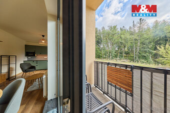 Prodej bytu 2+kk, 42 m², Černý Důl - 18