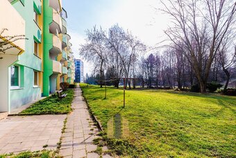 Pronájem byty 1+1, 32 m2 - Jihlava, ev.č. 00778 - 18