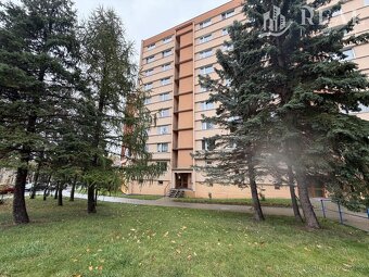 Pronájem, byt, 1+1, po rekonstrukci, OV, Březenecká, Chomuto - 18