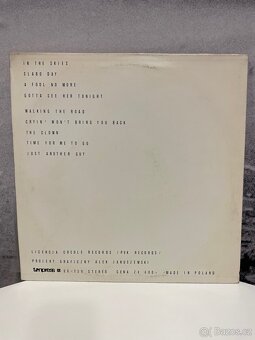 Gramofonové desky č.5 cena za 1 kus - 18