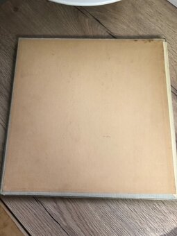 Vinylové desky - 18