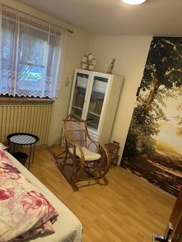 Prodej rodinného vícegeneračního domu v obci Jevišovka - 18