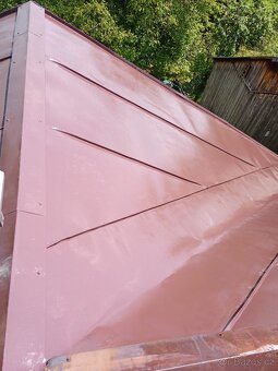 Údržba zahrad, lesů, domů i bytů - hodinový manžel - 18