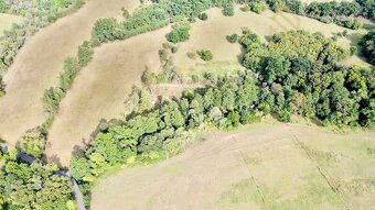 Prodej, pozemek,  7500 m2,  Řehlovice-Stadice - 18