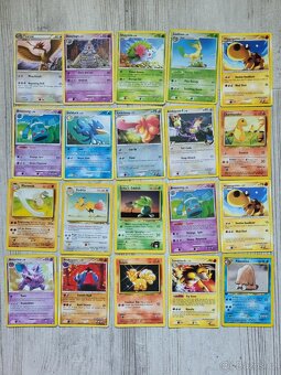 Sbírka Pokémon (2008-2012) - 18