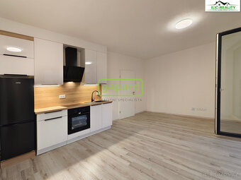 Pronájem bytu 1+kk 32,60 m² Vysoká, Plzeň - Litice - 18