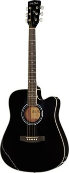 Akustické a el. ak. kytary a ukulele Sigma, LAG, Takamine 12 - 18