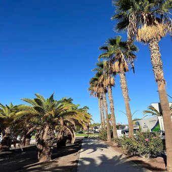 TENERIFE: 3kk v Palm Mar – výhled na oceán, terasa, bazén - 18