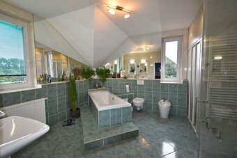 Prodej luxusního domu 6+1, garáž, Hoštice u Vodochod - 18